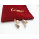 Cartier Tyrannical high-end leopard earrings earrings Fan Bingbing the same model Using micro-setting process! Advanced plating cnc polished   high-grade atmosphere      Brand new Cartier leopard head to strike! Stylish,