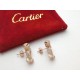 Cartier Tyrannical high-end leopard earrings earrings Fan Bingbing the same model Using micro-setting process! Advanced plating cnc polished   high-grade atmosphere      Brand new Cartier leopard head to strike! Stylish,