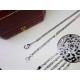 Cartier Cartier Luxury Leopard Head Full Diamond Round Plaque Necklace    Tasseled Round Plaque Leopard Head Pendant With Double Layer Chain Elegant and Noble   Classical Aristocratic Model, Luxury Full Diamond Leopard H