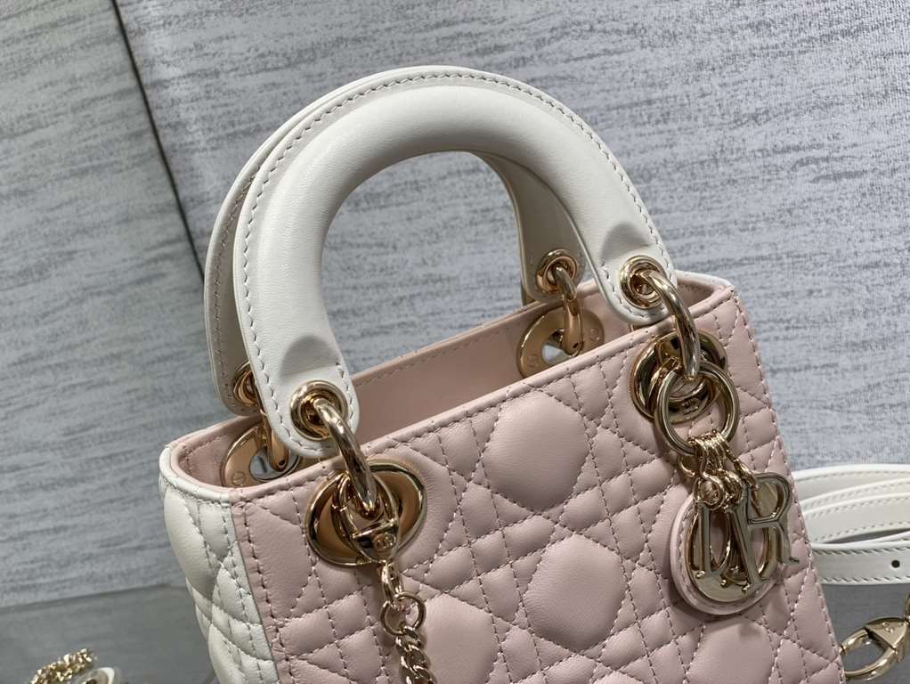 Dior Bag