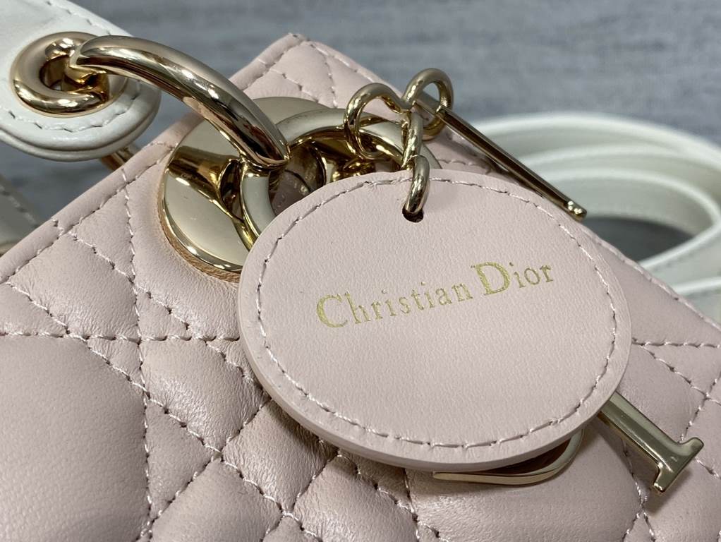 Dior Bag