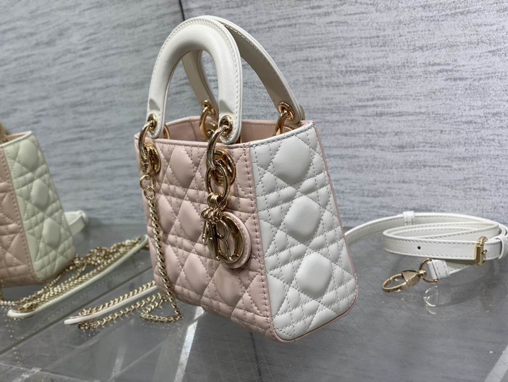 Dior Bag