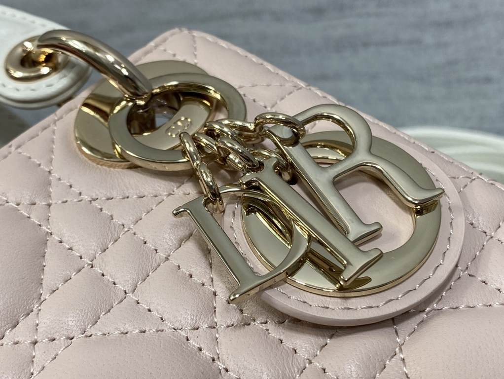 Dior Bag