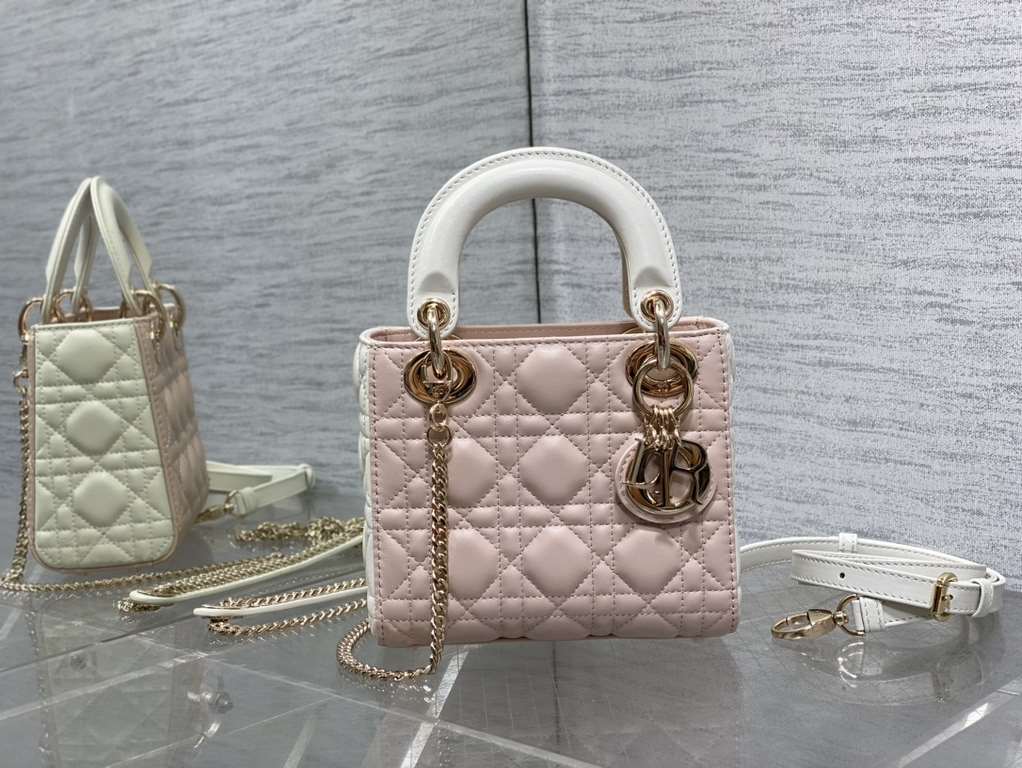 Dior Bag