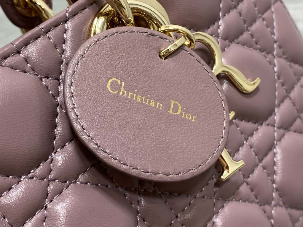 Dior Bag