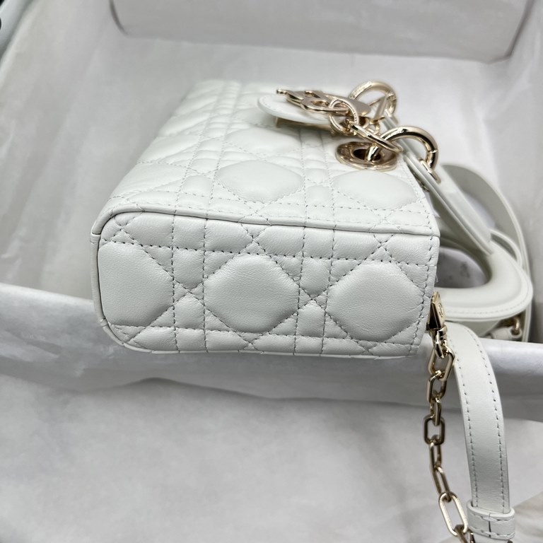 Dior Bag