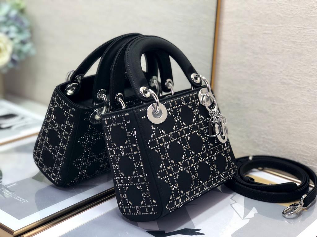 Dior Bag