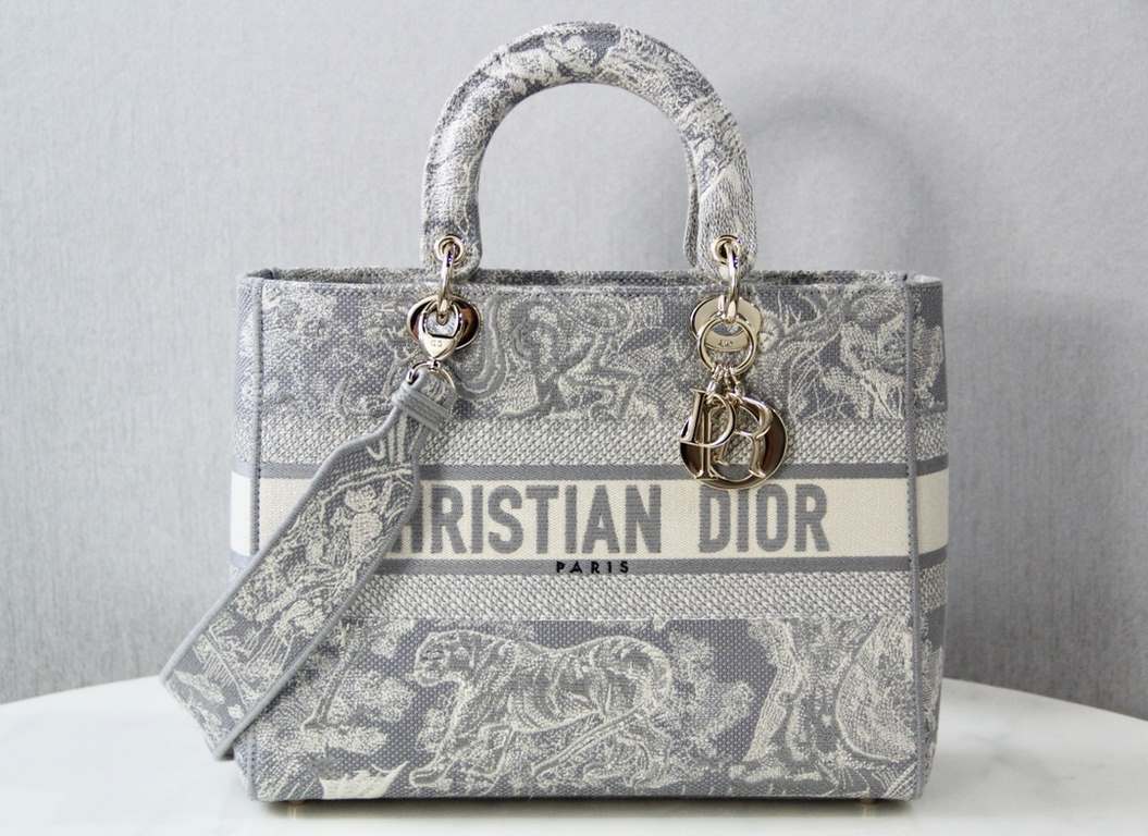 Dior Bag