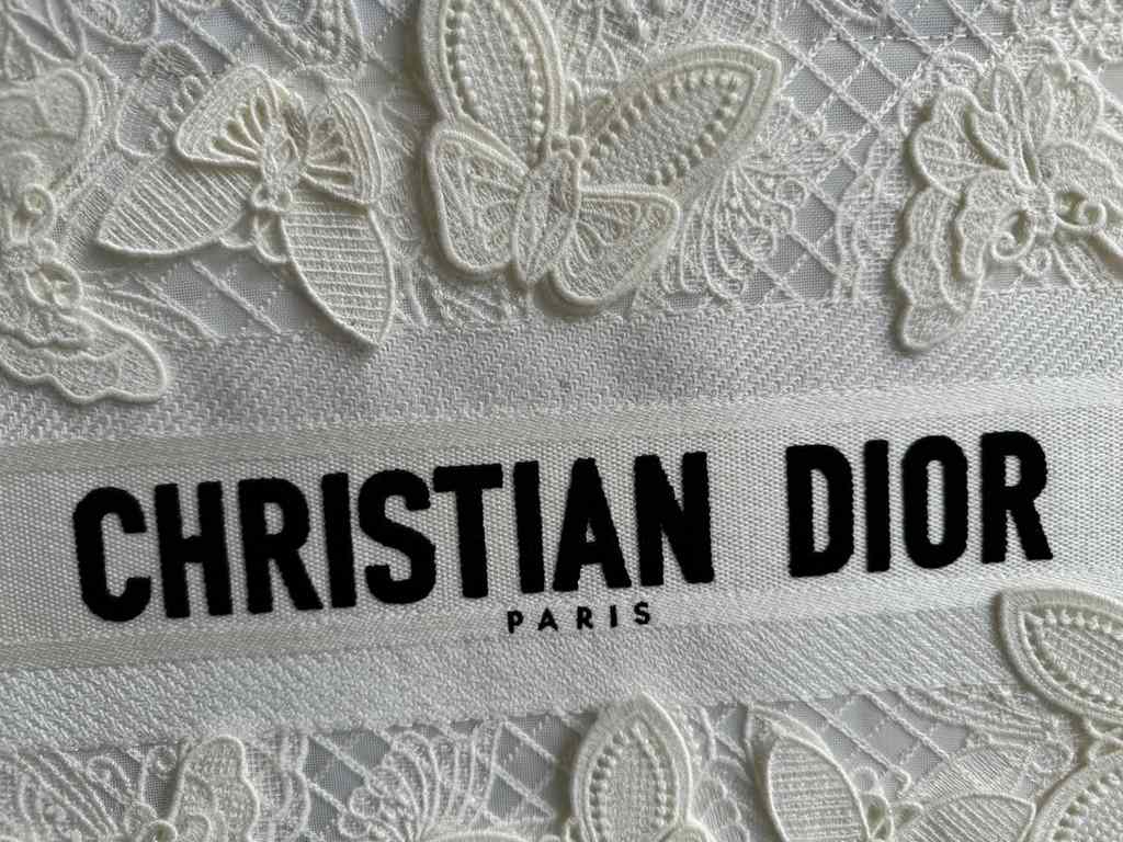 Dior Bag