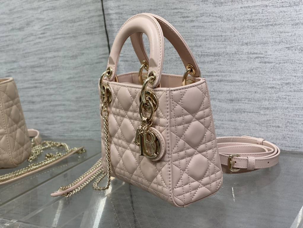 Dior Bag