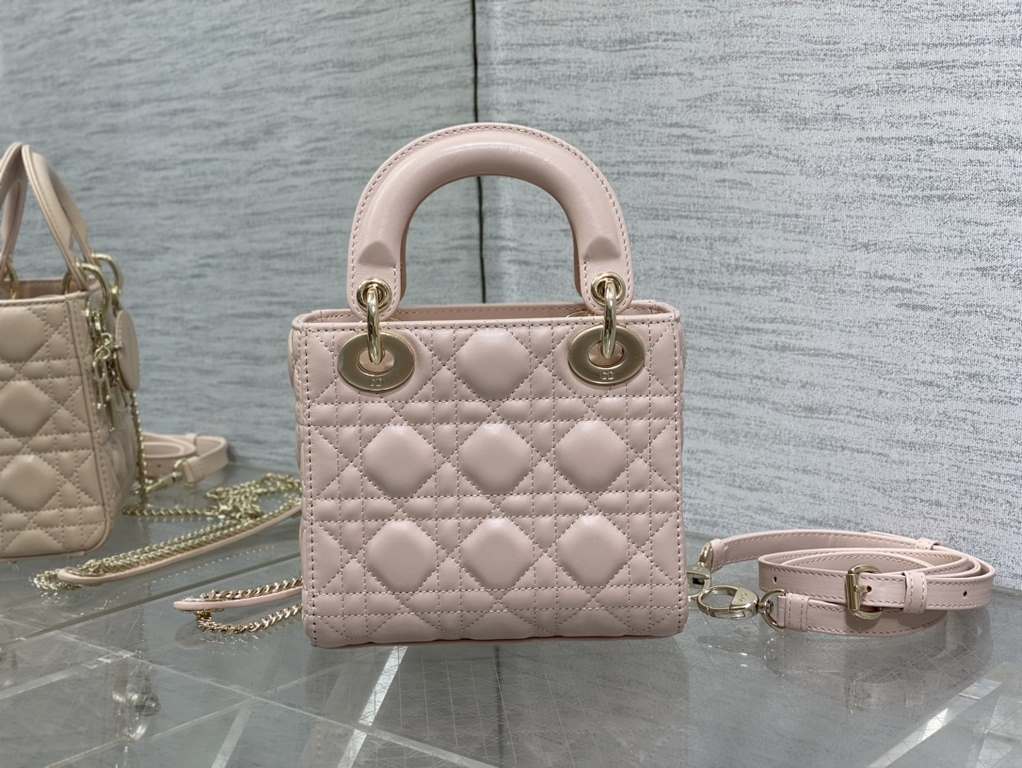 Dior Bag