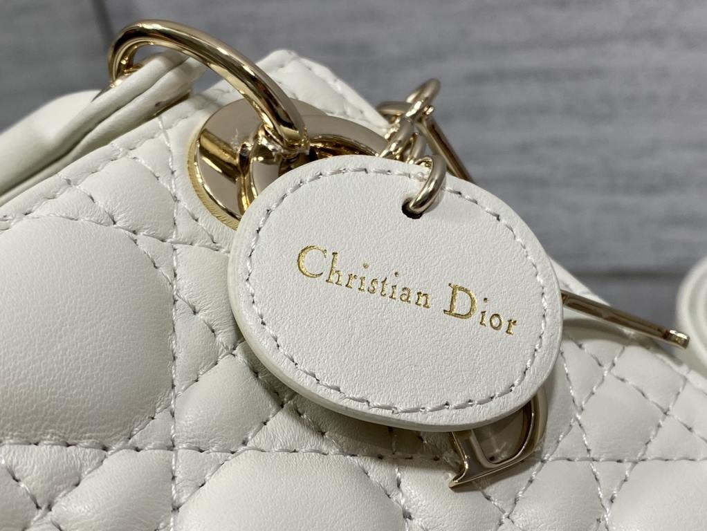 Dior Bag