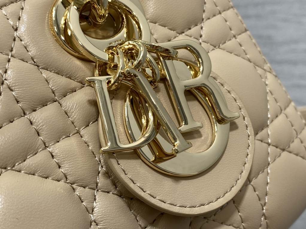 Dior Bag