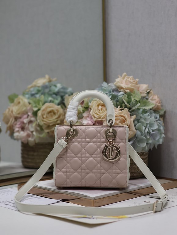 Dior Bag