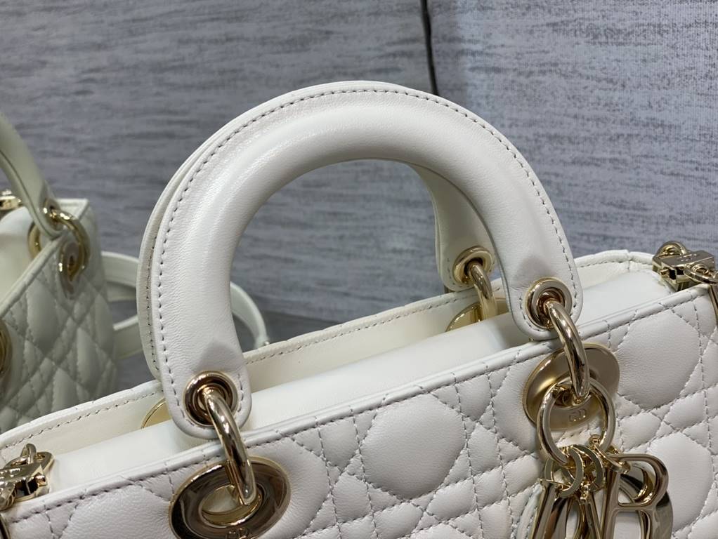 Dior Bag