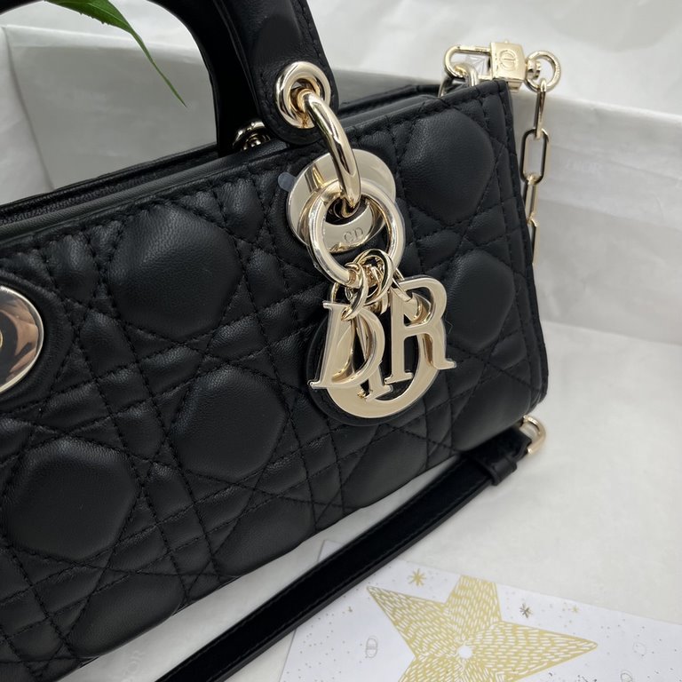 Dior Bag