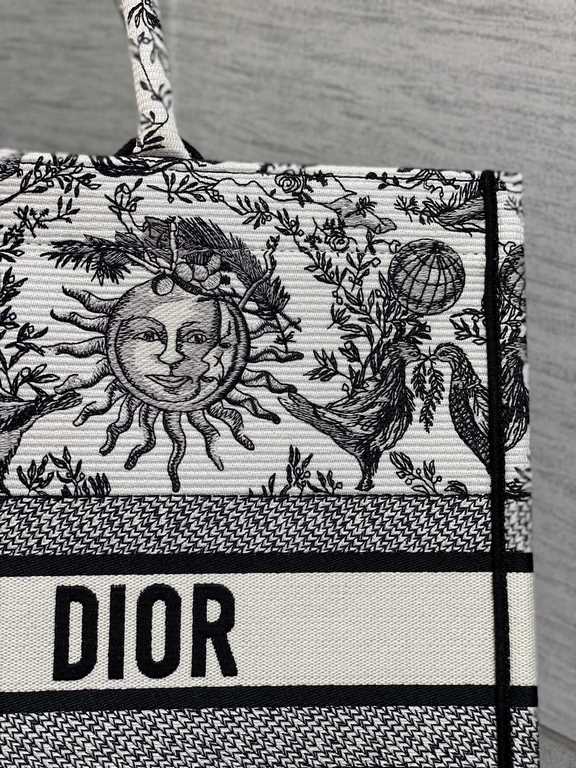 Dior Bag