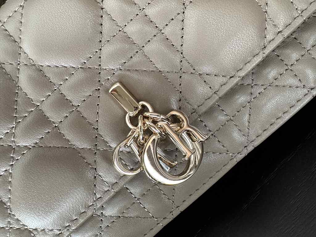 Dior Bag