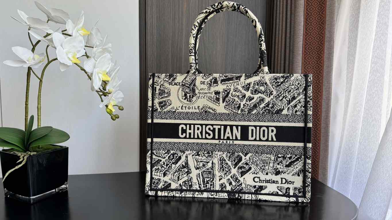 Dior Bag