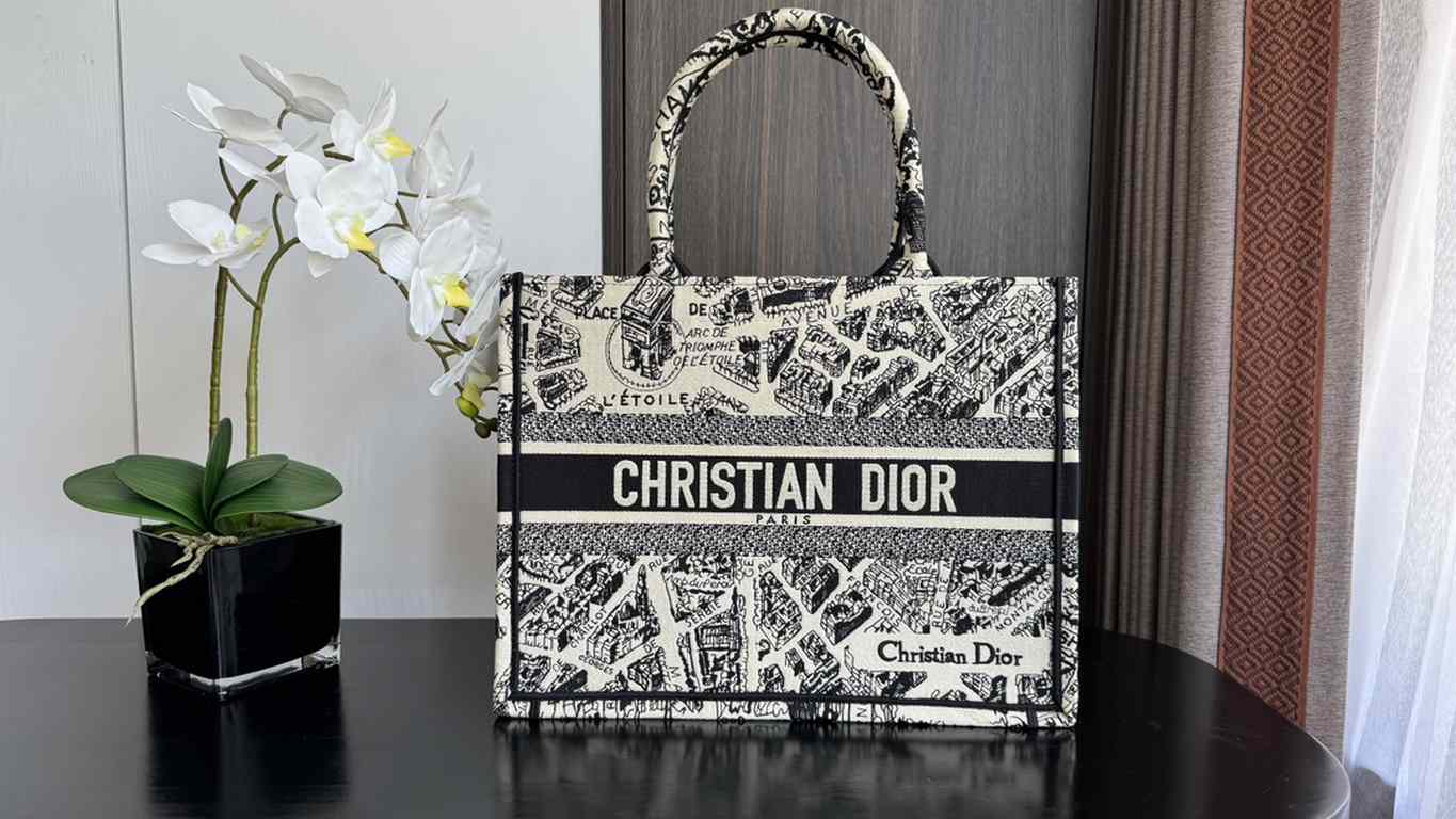 Dior Bag