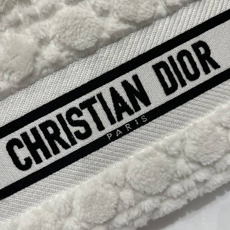 Dior Bag