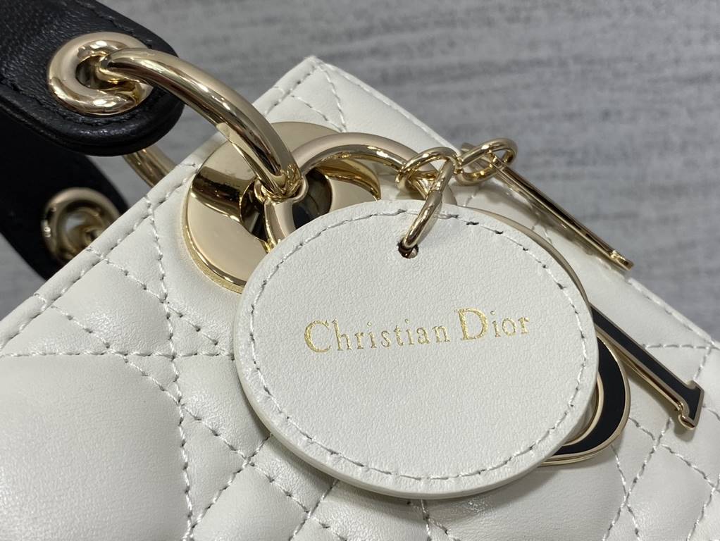 Dior Bag