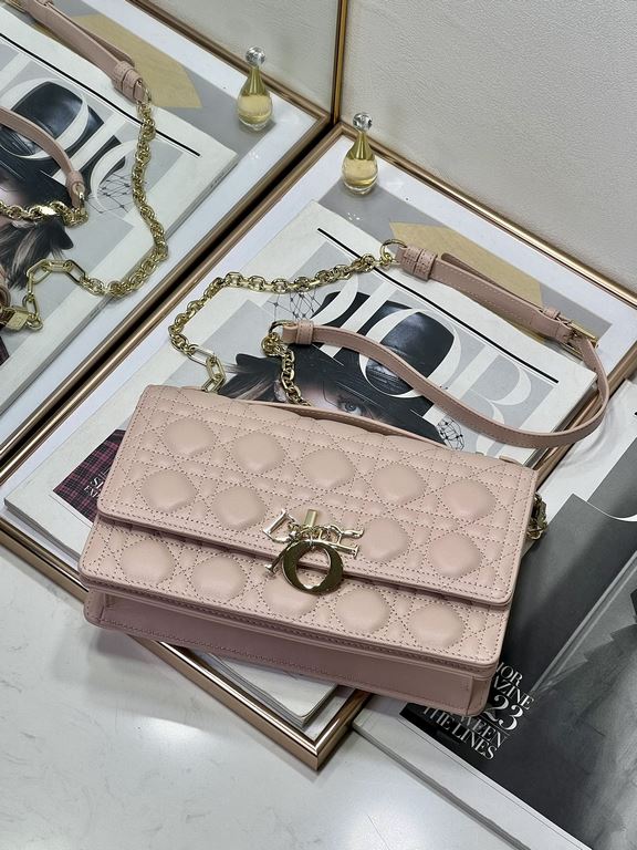 Dior Bag