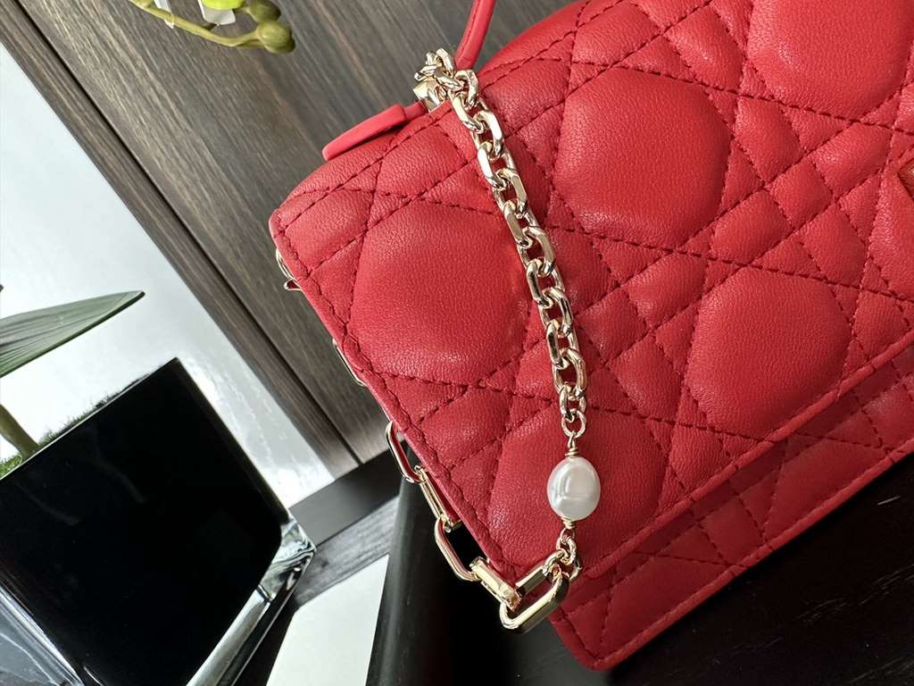 Dior Bag