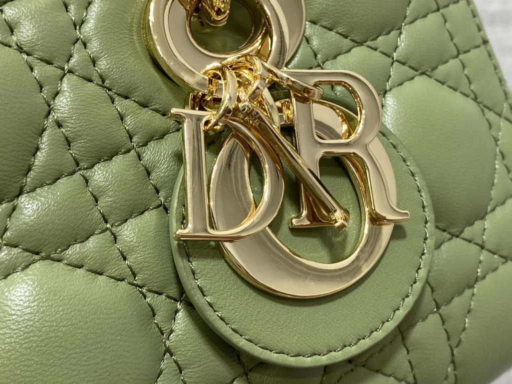 Dior Bag