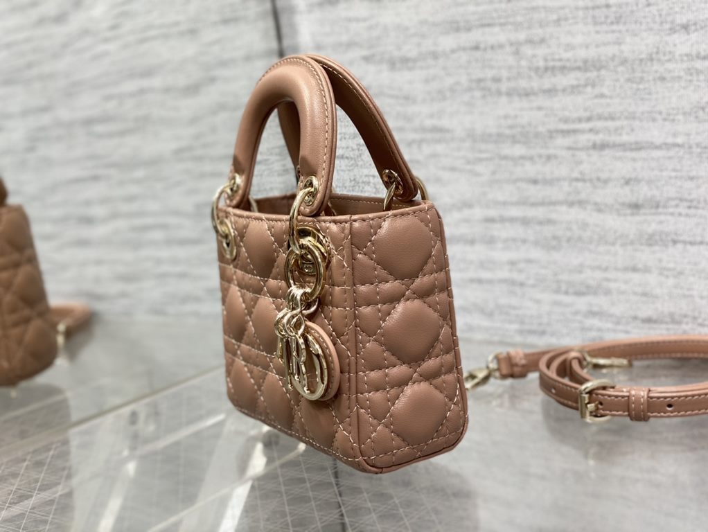 Dior Bag