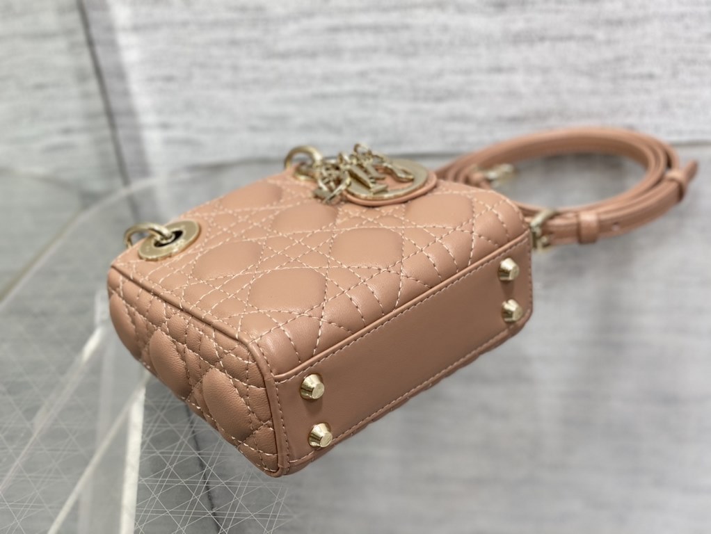 Dior Bag