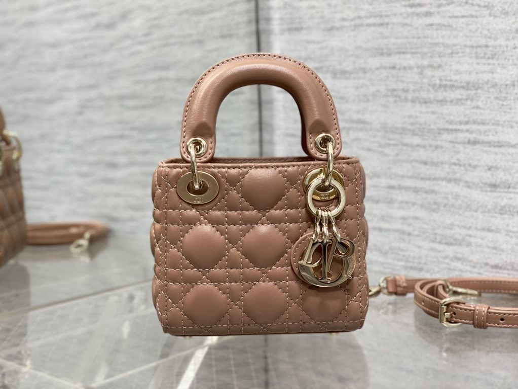 Dior Bag