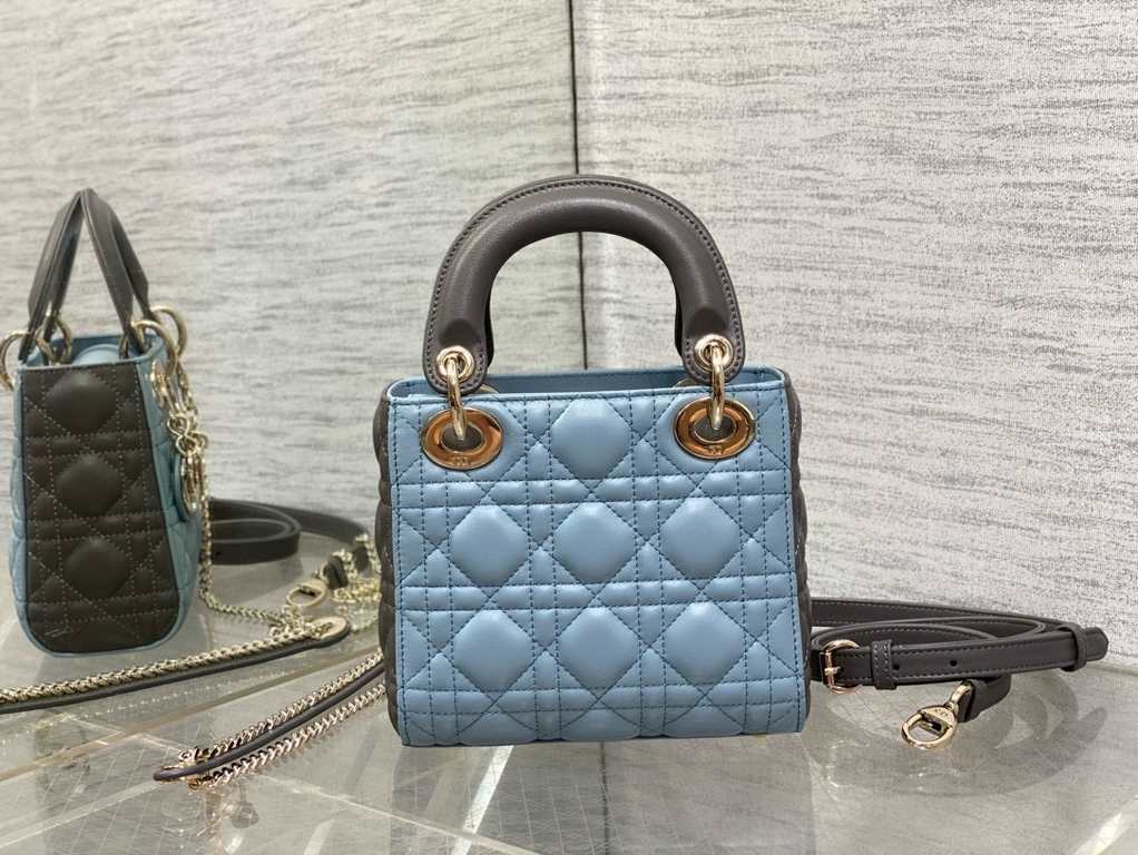 Dior Bag