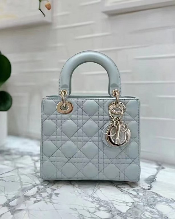 Dior Bag