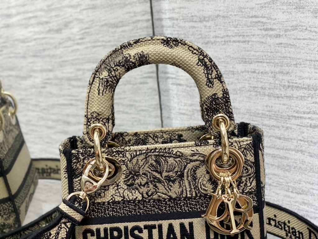 Dior Bag