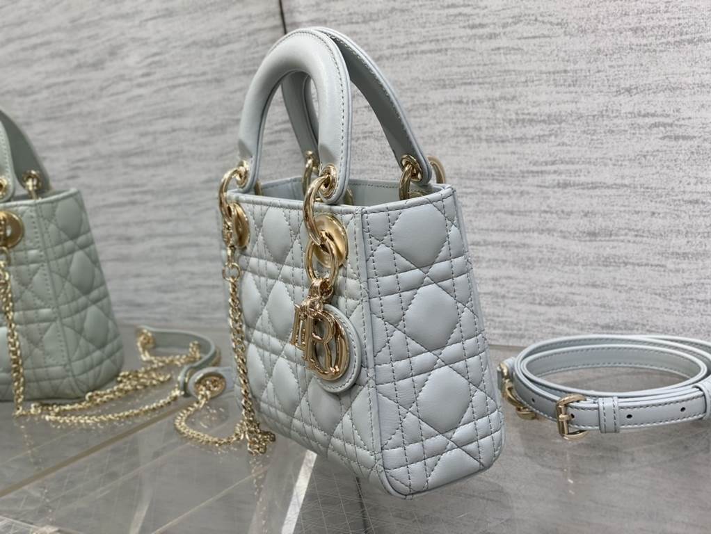 Dior Bag