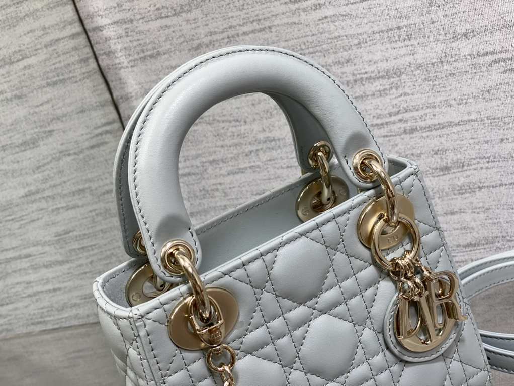 Dior Bag