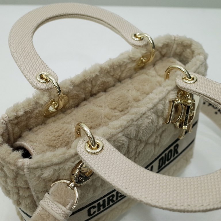 Dior Bag