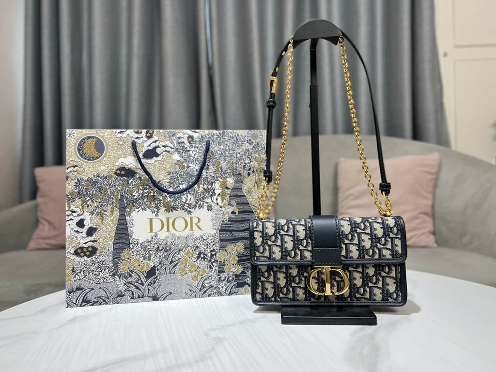 Dior Bag