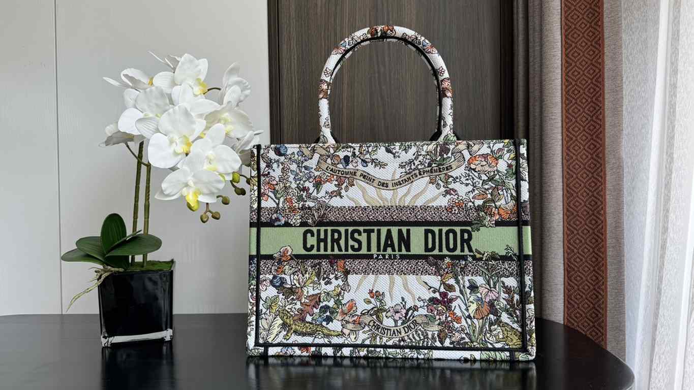 Dior Bag