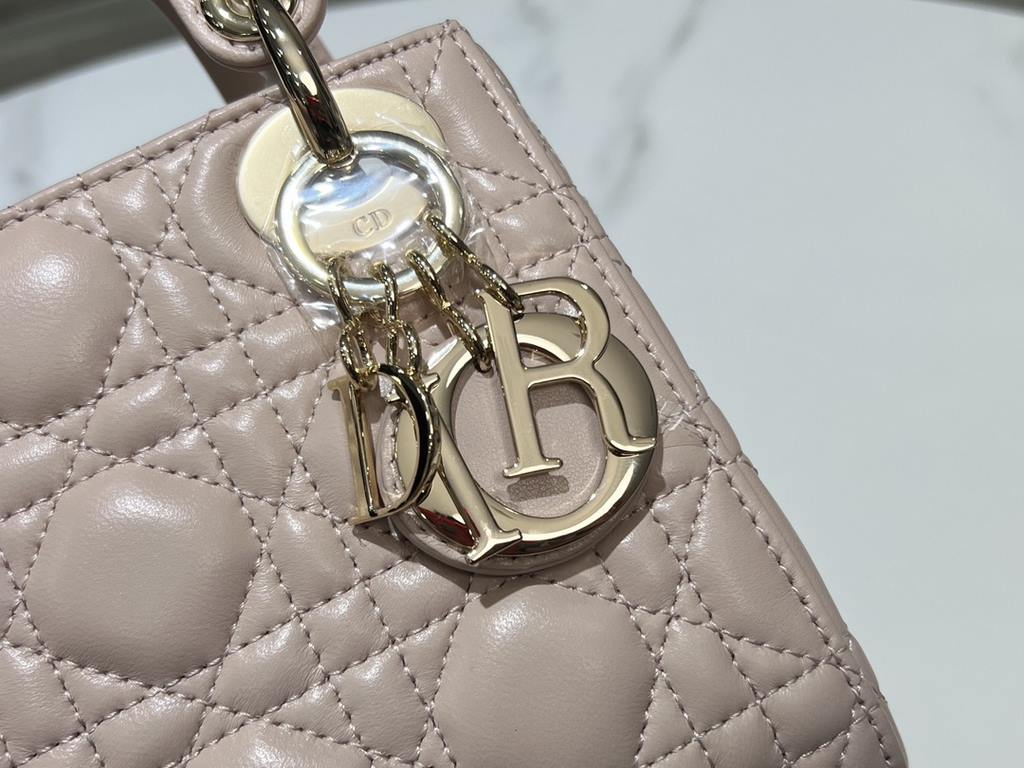 Dior Bag