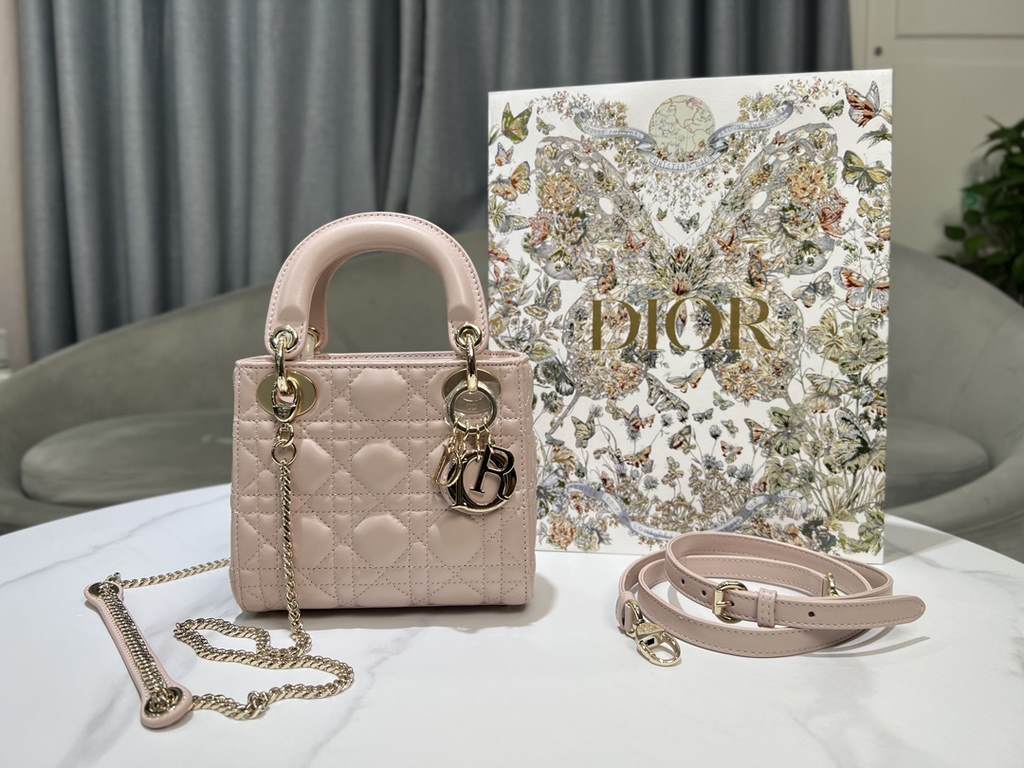 Dior Bag