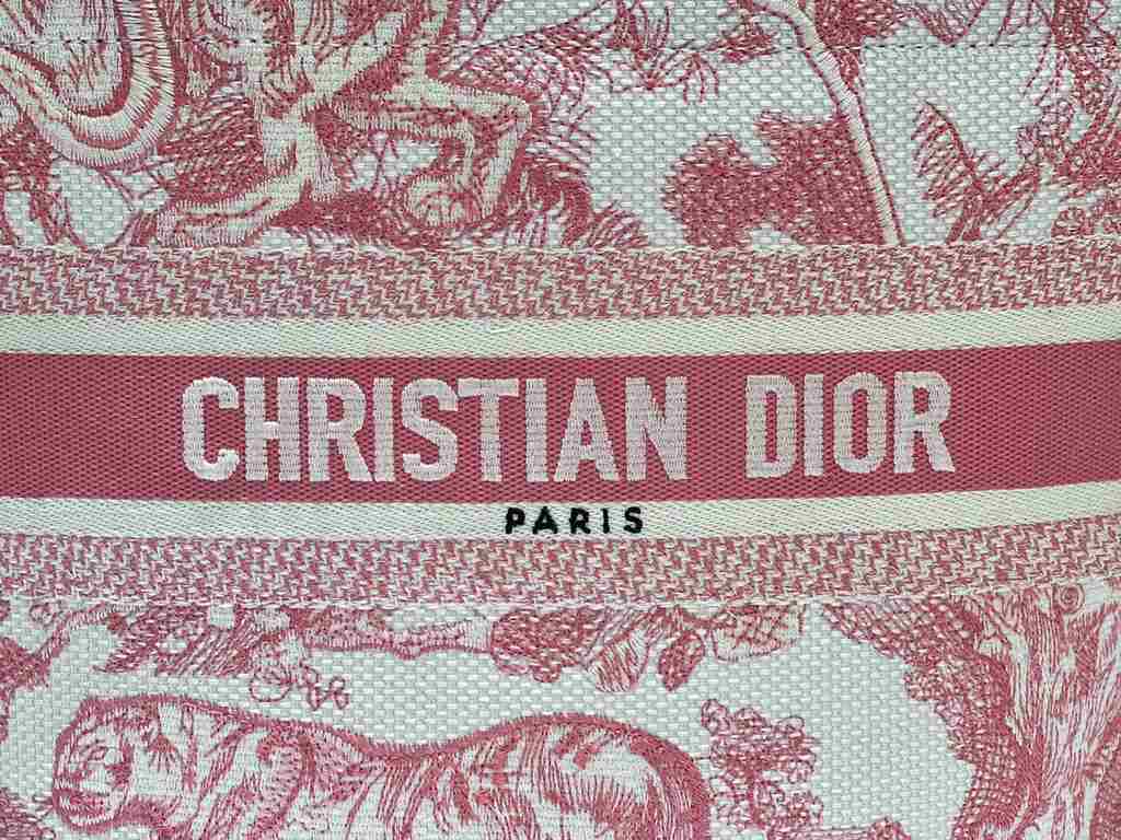 Dior Bag