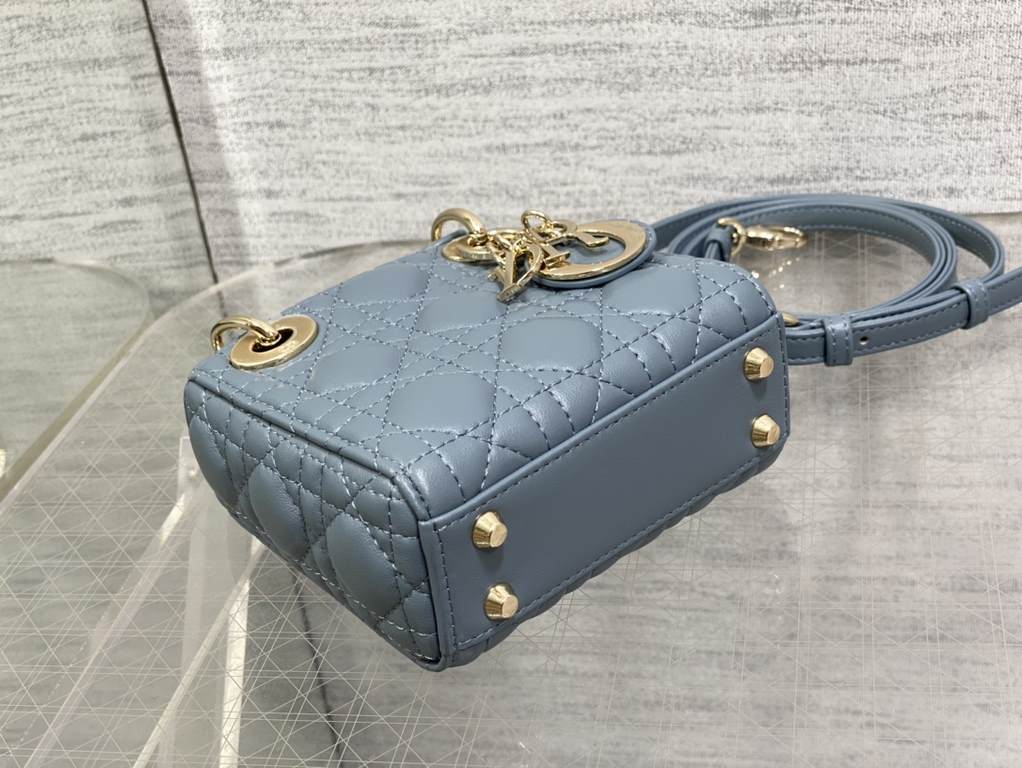 Dior Bag