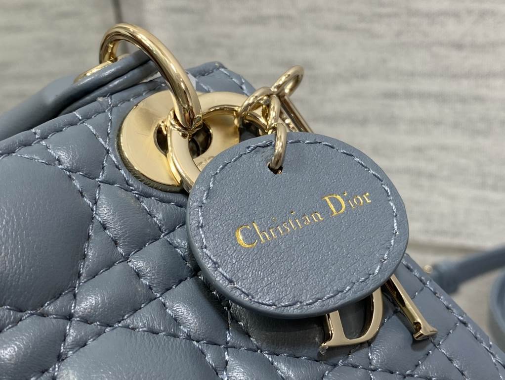 Dior Bag