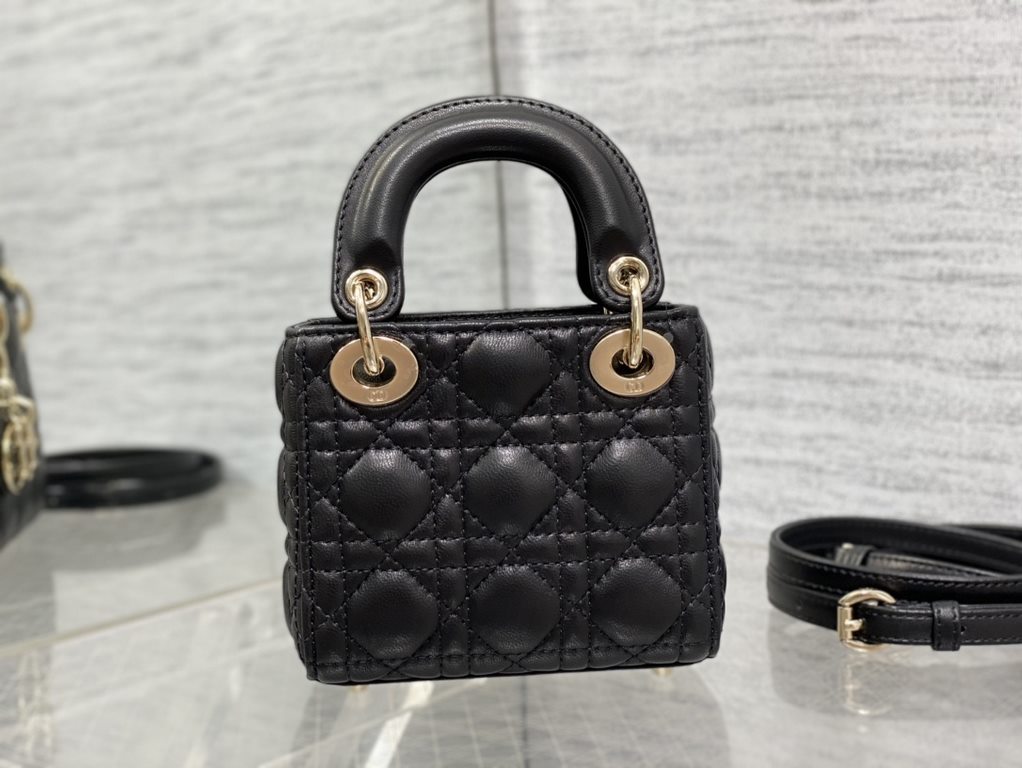 Dior Bag