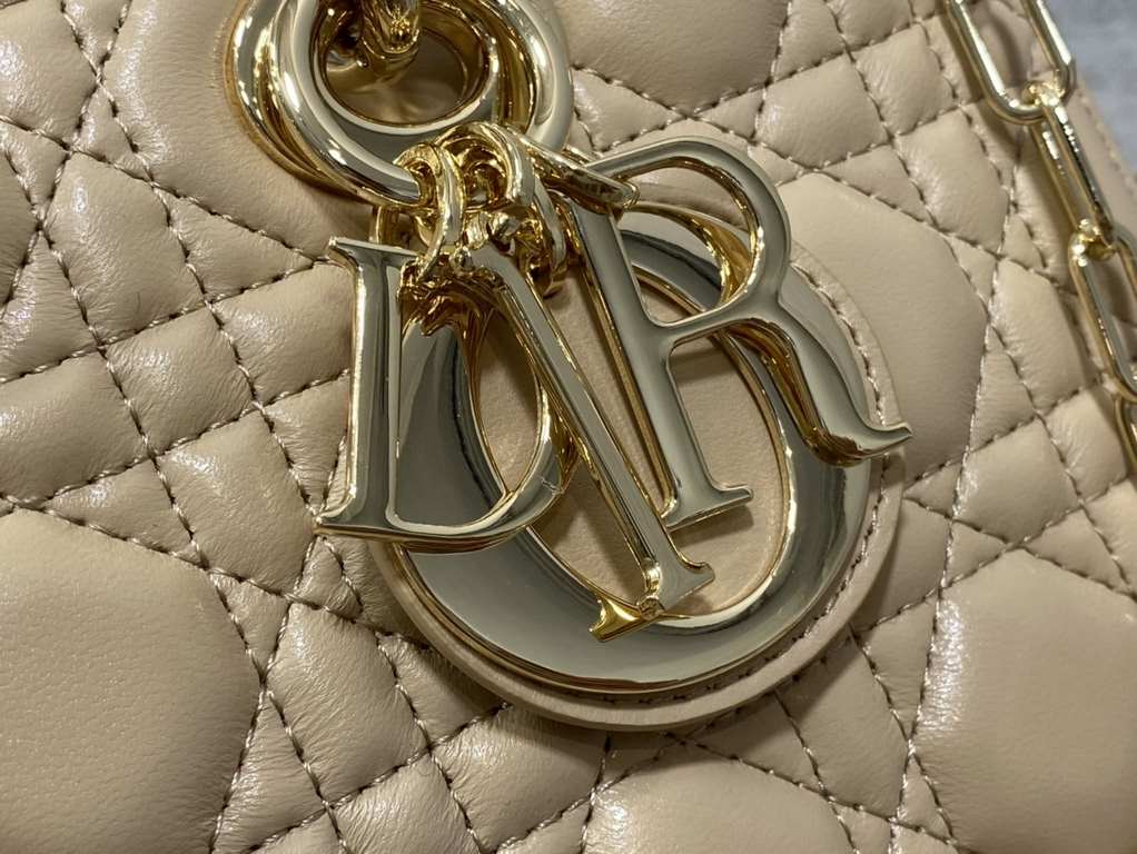 Dior Bag