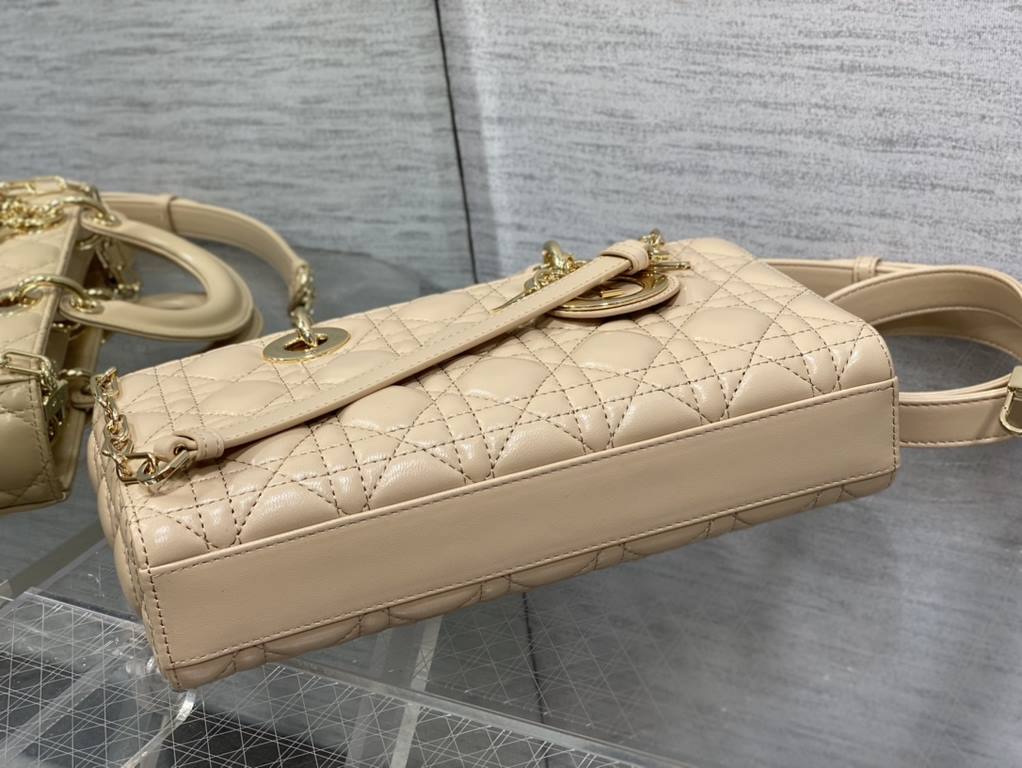 Dior Bag