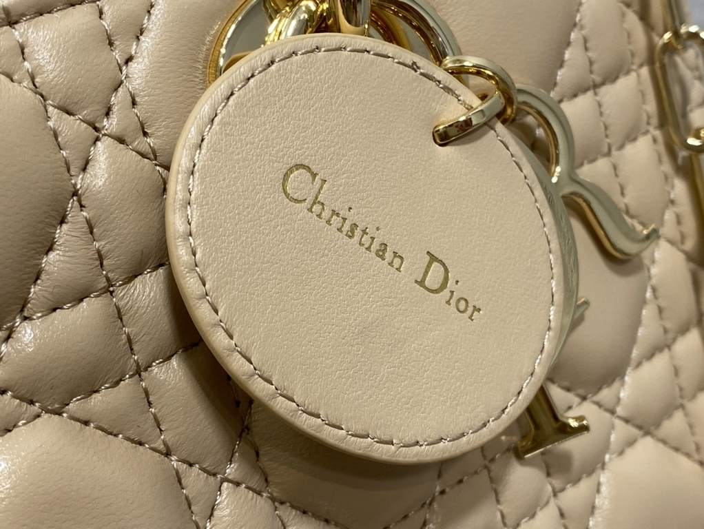 Dior Bag