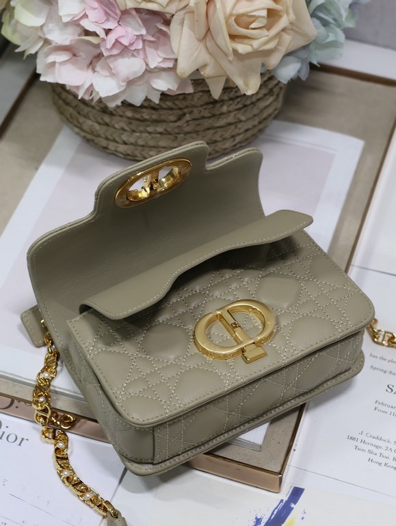 Dior Bag